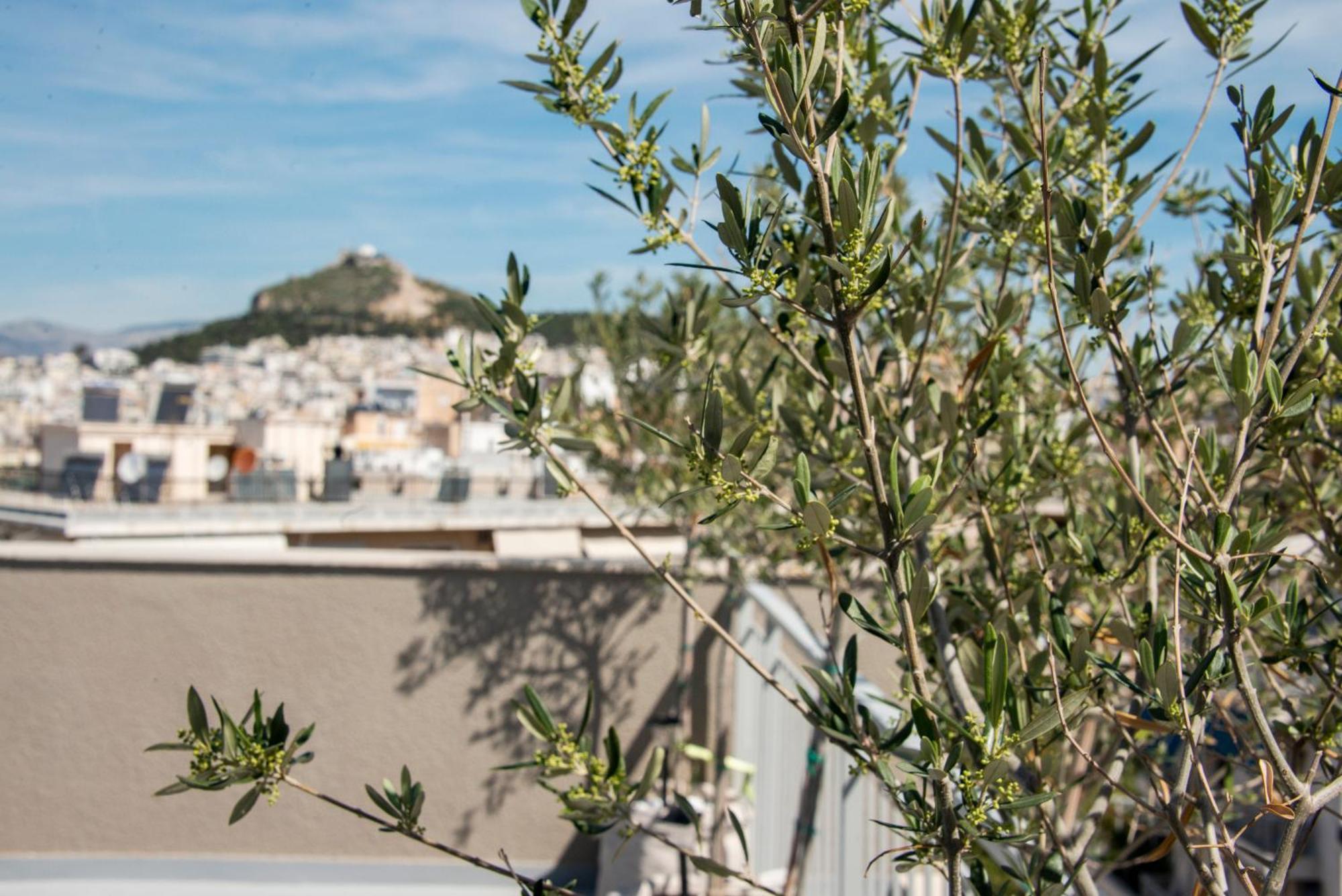 Апартаменты The Athenian Oasis Экстерьер фото